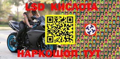 стаф Лесосибирск