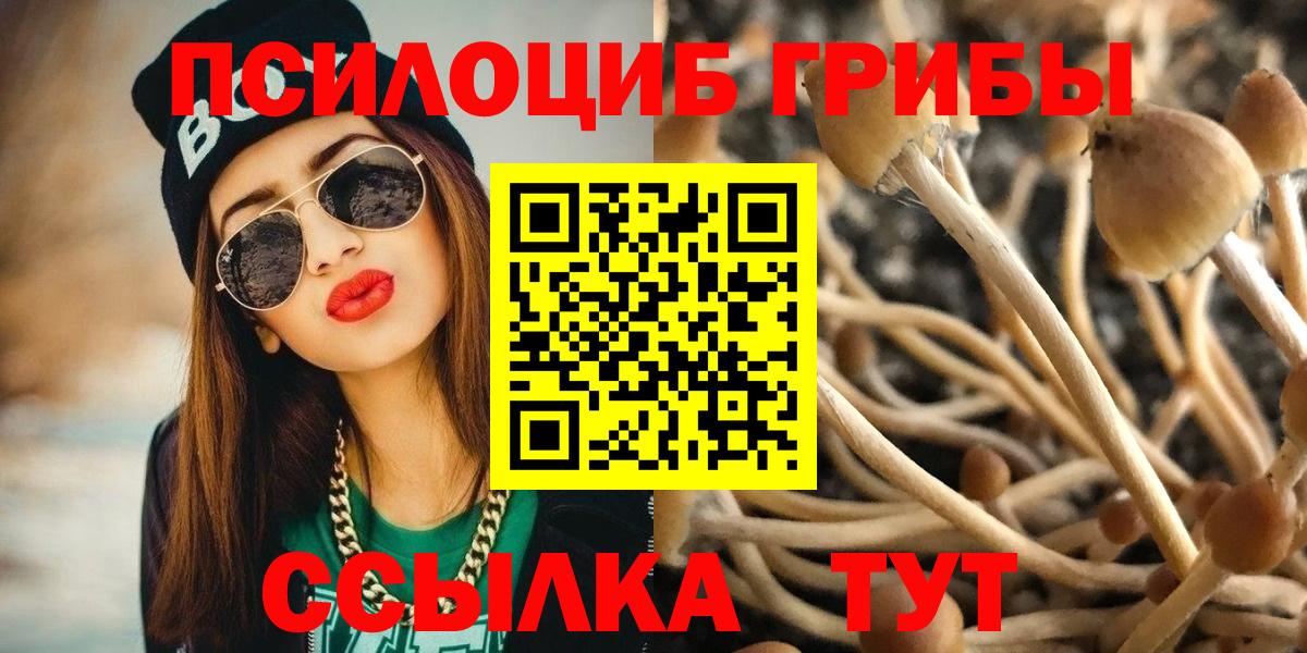 Псилоцибиновые грибы Psilocybe  Галлюциногенные грибы мицелий  Вход с VPN  Джанкой 